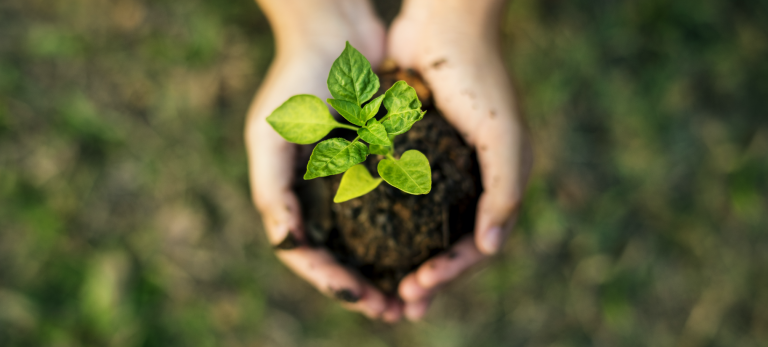 ECO design regulation coming into force in March 2021